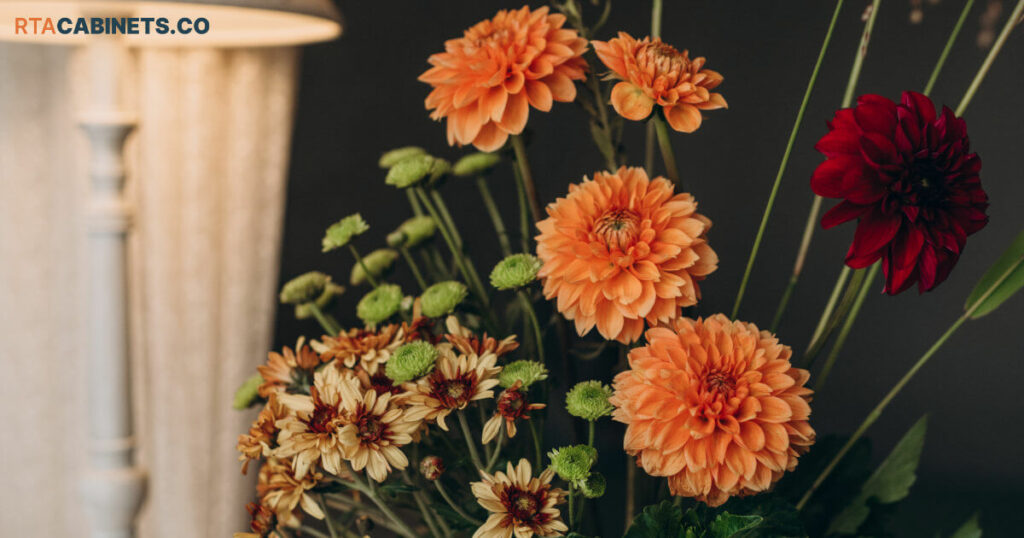 Dahlias