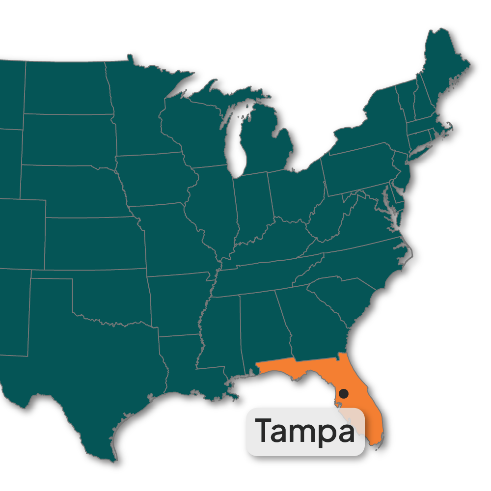 Kitchen Cabinets Tampa - RTA Cabinets